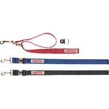 Safety Driver Restraints